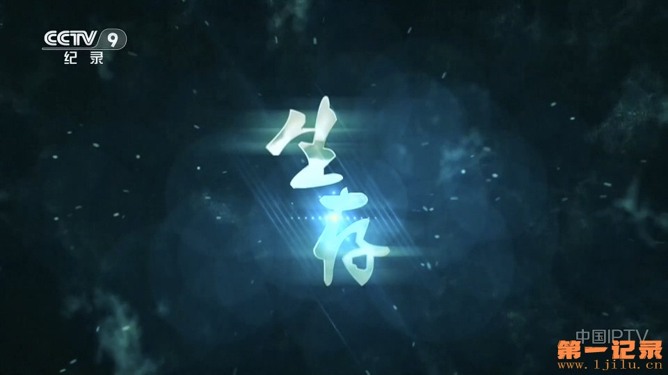 生存(2026).jpg