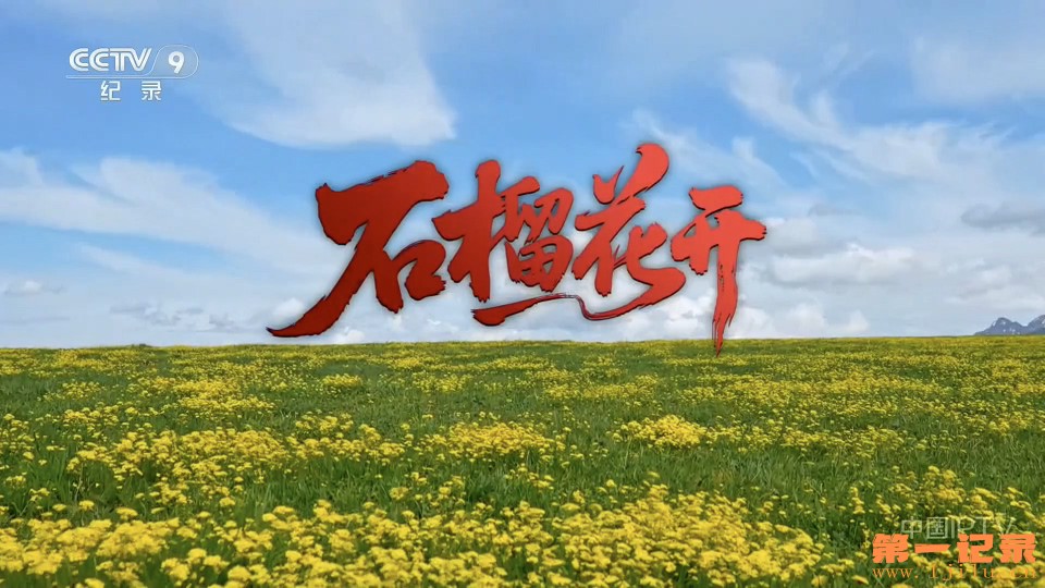石榴花开(2026).jpg