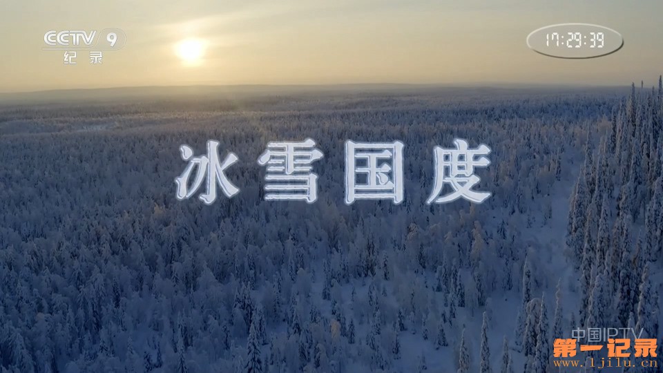冰雪国度(2020).jpg