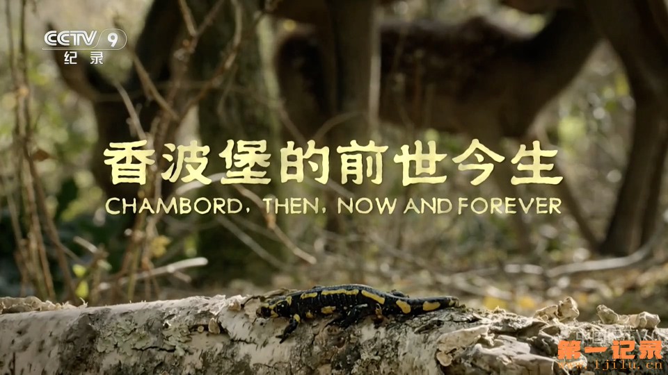 香波堡的前世今生(2019).jpg