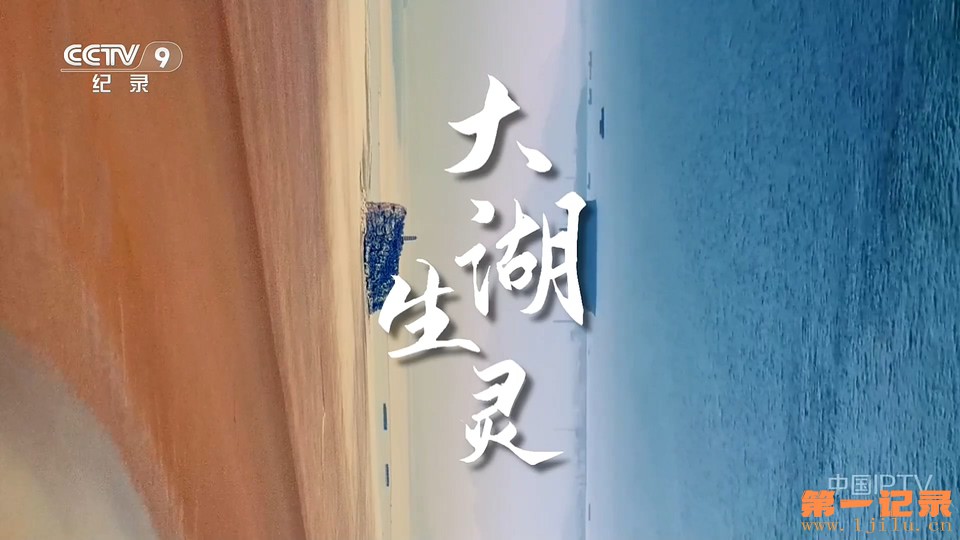 大湖生灵(2026).jpg