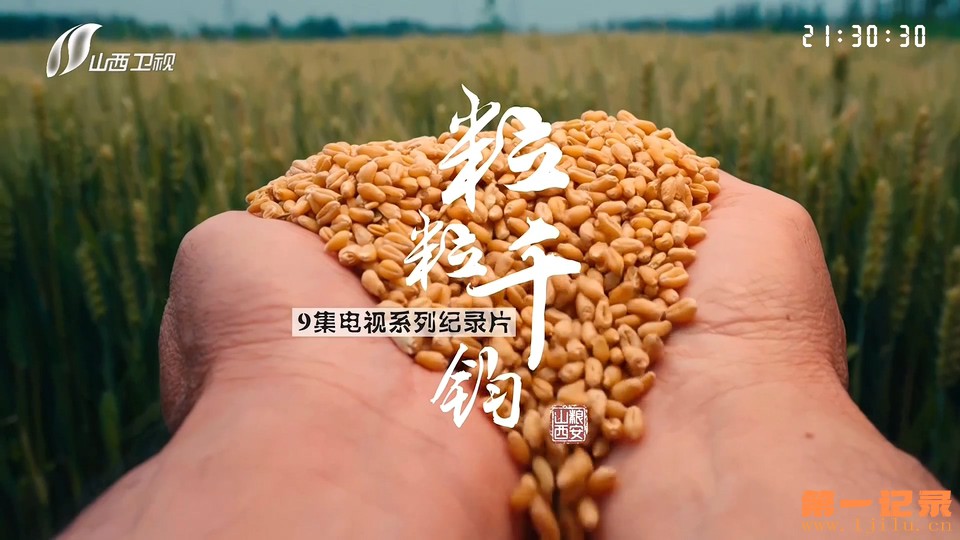 粒粒千钧——粮安山西(2026).jpg