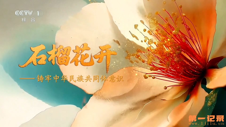 石榴花开——铸牢中华民族共同体意识(2026).jpg