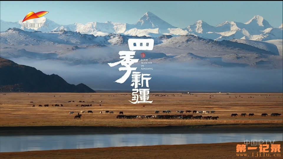 四季新疆(2026).jpg
