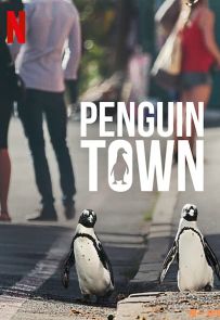 《企鹅小镇 Penguin Town》2021.南非.动物[MKV][1080p][英语中字][全8集]