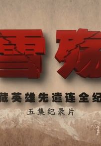 CNSTV (中国新闻网) 《雪殇：进藏英雄先遣连全纪实》 (全5集)  mp4/1080p/1.79G