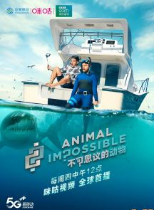 《不可思议的动物 Animal Impossible》2020.英国.动物[MKV][2160p][英语中字][全10集]