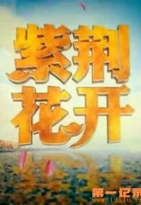 《紫荆花开》全5集.2017.中国.社会[MKV][1080P][央视中文]