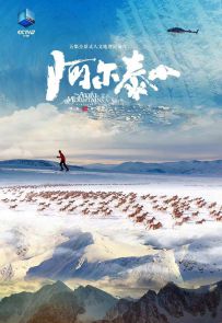 《阿尔泰山》2024.中国.地理[MP4][2160p][国语中字][全5集]