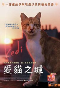 《爱猫之城》2016.土耳其.动物[MKV][1080p][国语中字][全1集]