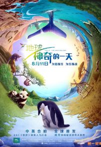 《地球：神奇的一天》BBC.2017.全1集.BluRay.自然[MKV/16.8G/1080p/中文]