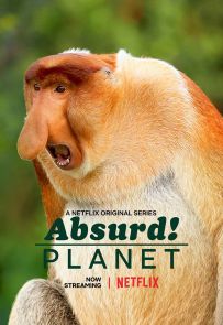 《怪诞星球 Absurd Planet》2020.美国.动物[MKV][1080p][英语中字][全12集]