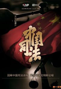 《中国司法》2020.中国.社会[MP4][1080P][国语中字][全10集]